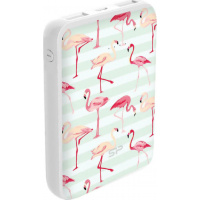 20211104165542_silicon_power_c100_10000mah_leyko_flamengos